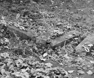 Stenen op kerkhof